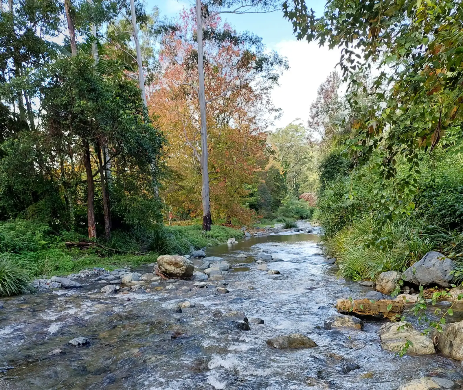The lower creek close to Oasis of Hope, suitable for a shorter walk