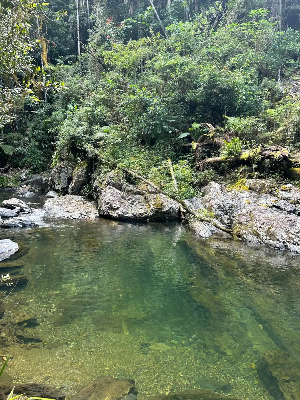 Natural swimming hole along the creek at Oasis of Hope near Coffs Harbour