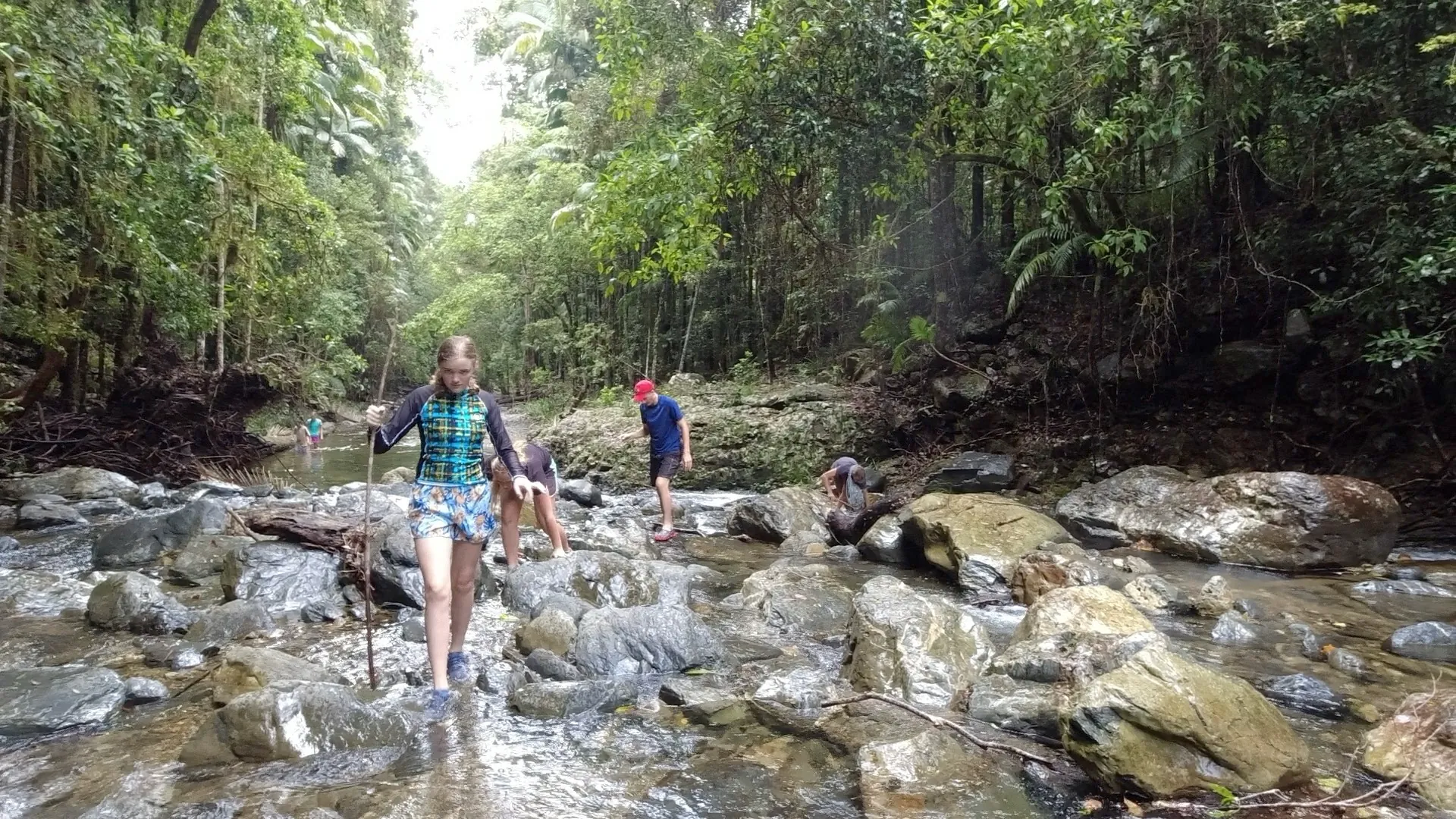 Group walking the creek towards the waterfall at Oasis of Hope near Coffs Harbour
